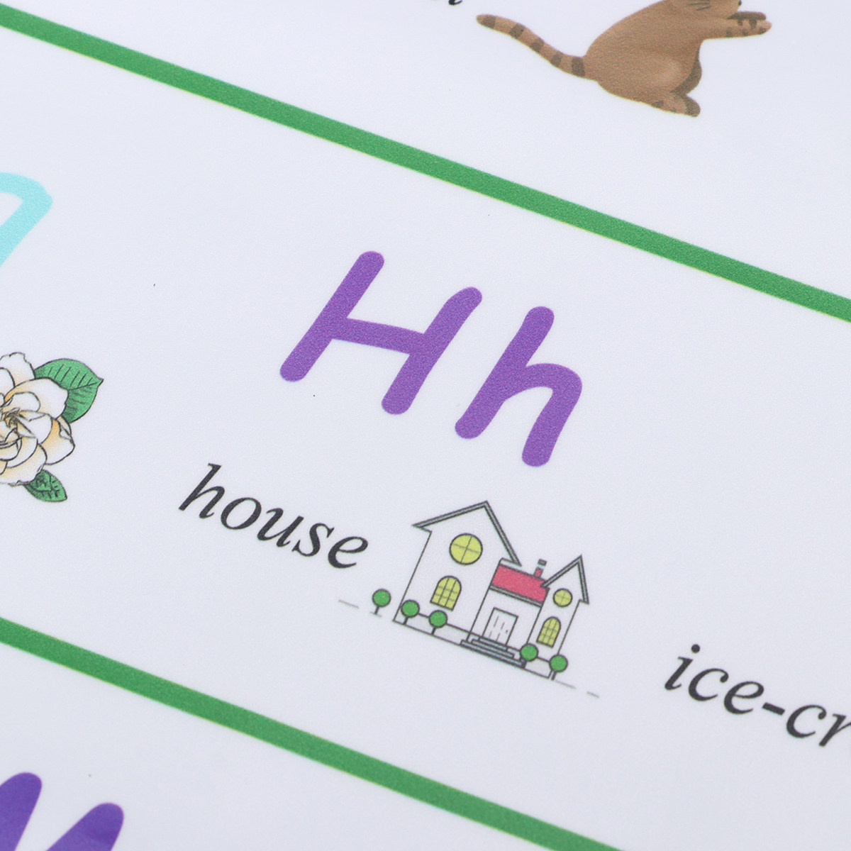Póster Educativo de Alta Calid - Kids Educational Posters reseña y precio